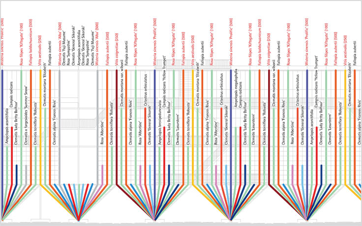 Plant species diagram of the MFO Park project