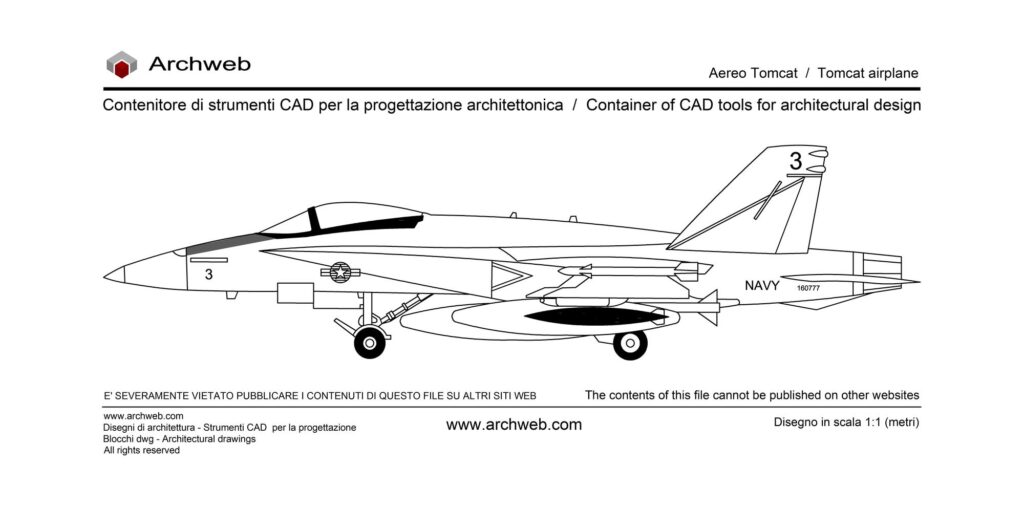 Tomcat plane 02 dwg