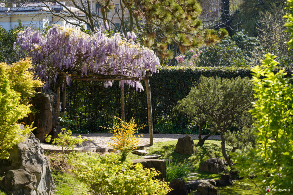 Pergola con glicine in fiore al giardino giapponese