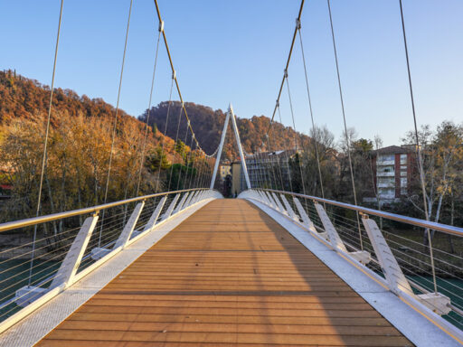 Passerella ciclopedonale sul fiume Reno