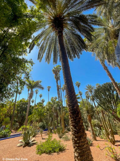 Giardini Majorelle Marraketch