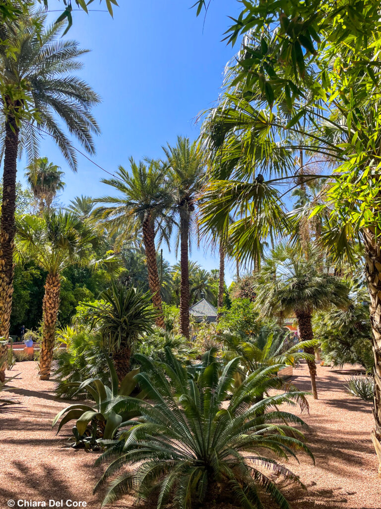 Giardini Majorelle Marraketch