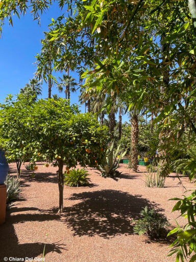 Giardini Majorelle Marraketch