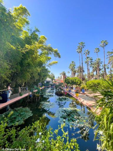 Giardini Majorelle Marraketch