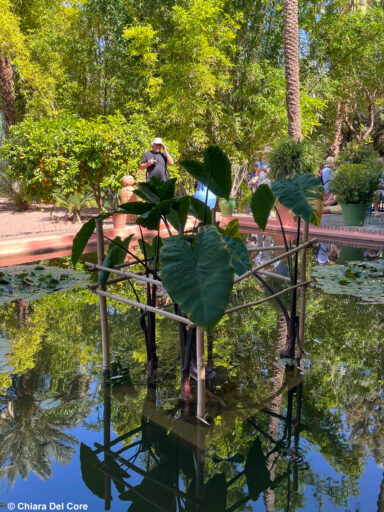 Giardini Majorelle Marraketch