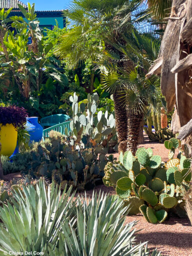 Giardini Majorelle Marraketch