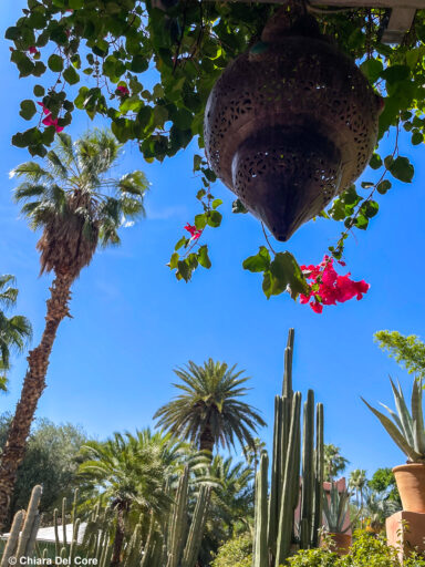 Giardini Majorelle Marraketch