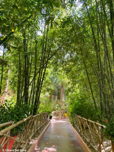 Giardini Majorelle Marraketch