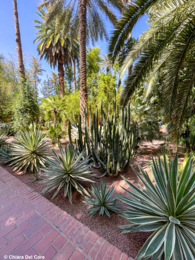 Giardini Majorelle Marraketch