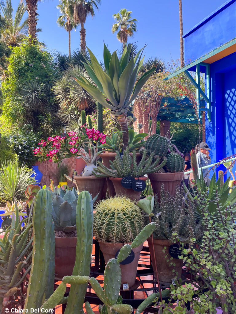 Giardini Majorelle Marraketch