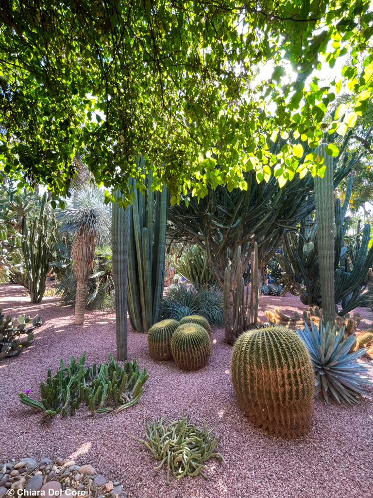 Giardini Majorelle Marraketch