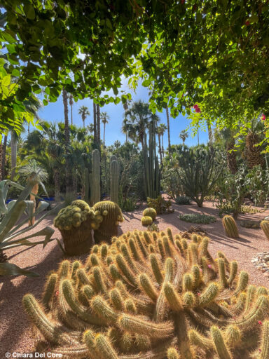 Giardini Majorelle Marraketch