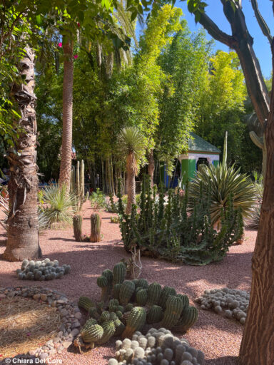 Giardini Majorelle Marraketch