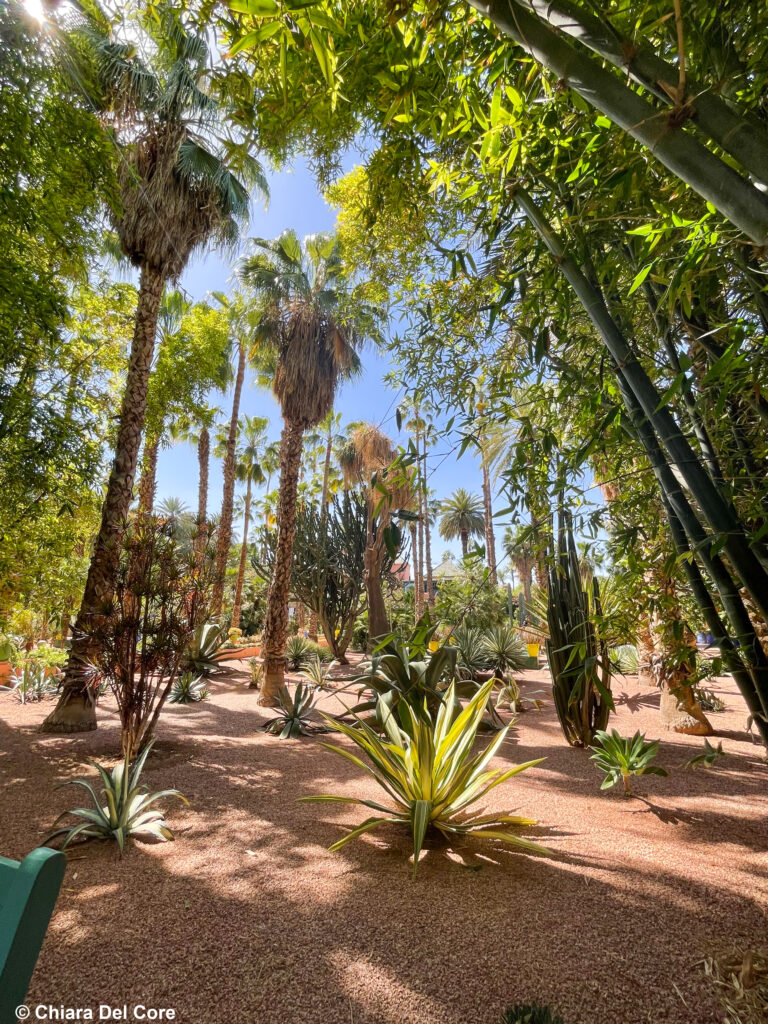 Giardini Majorelle Marraketch