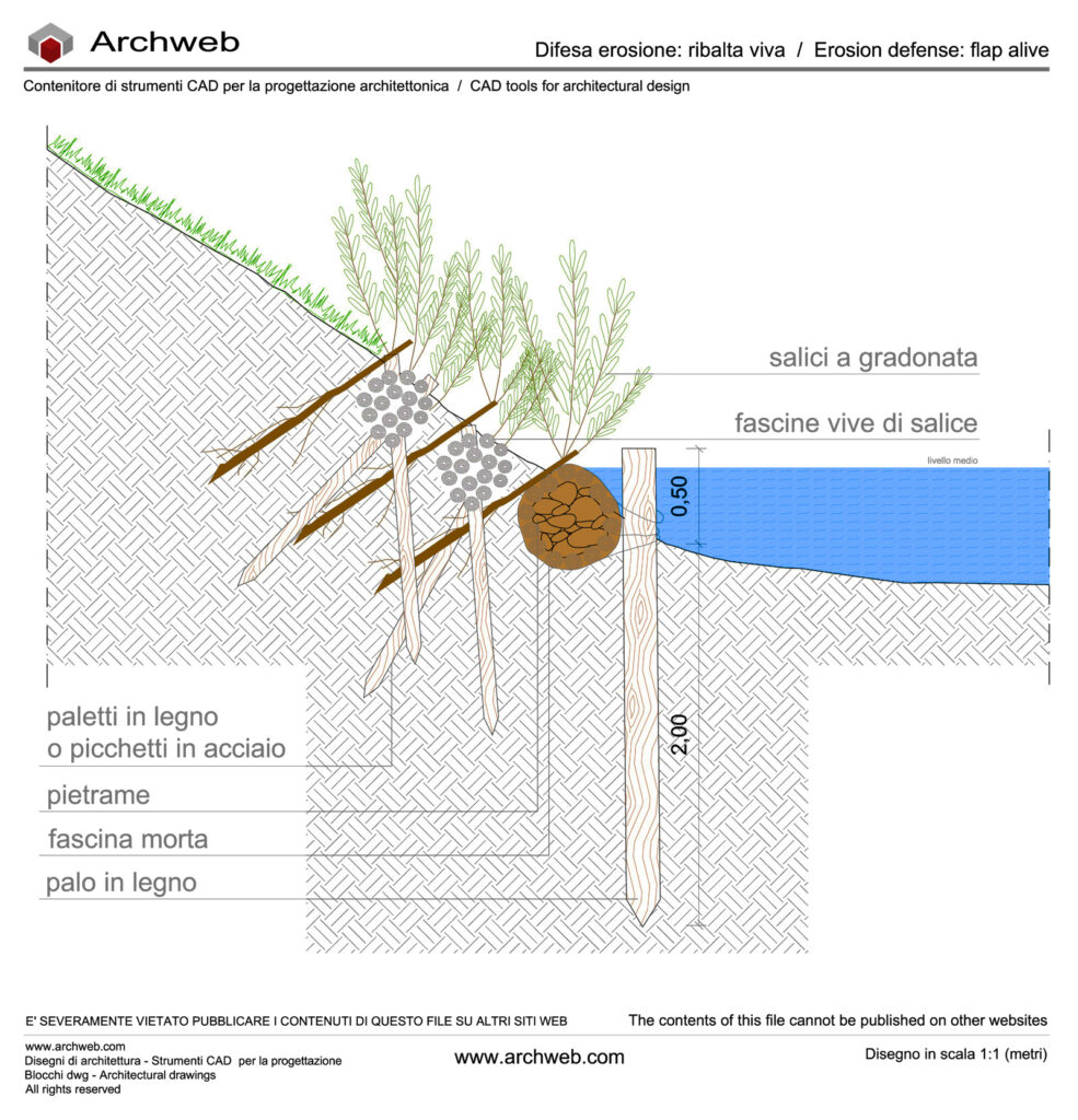 Flap alive dwg Archweb