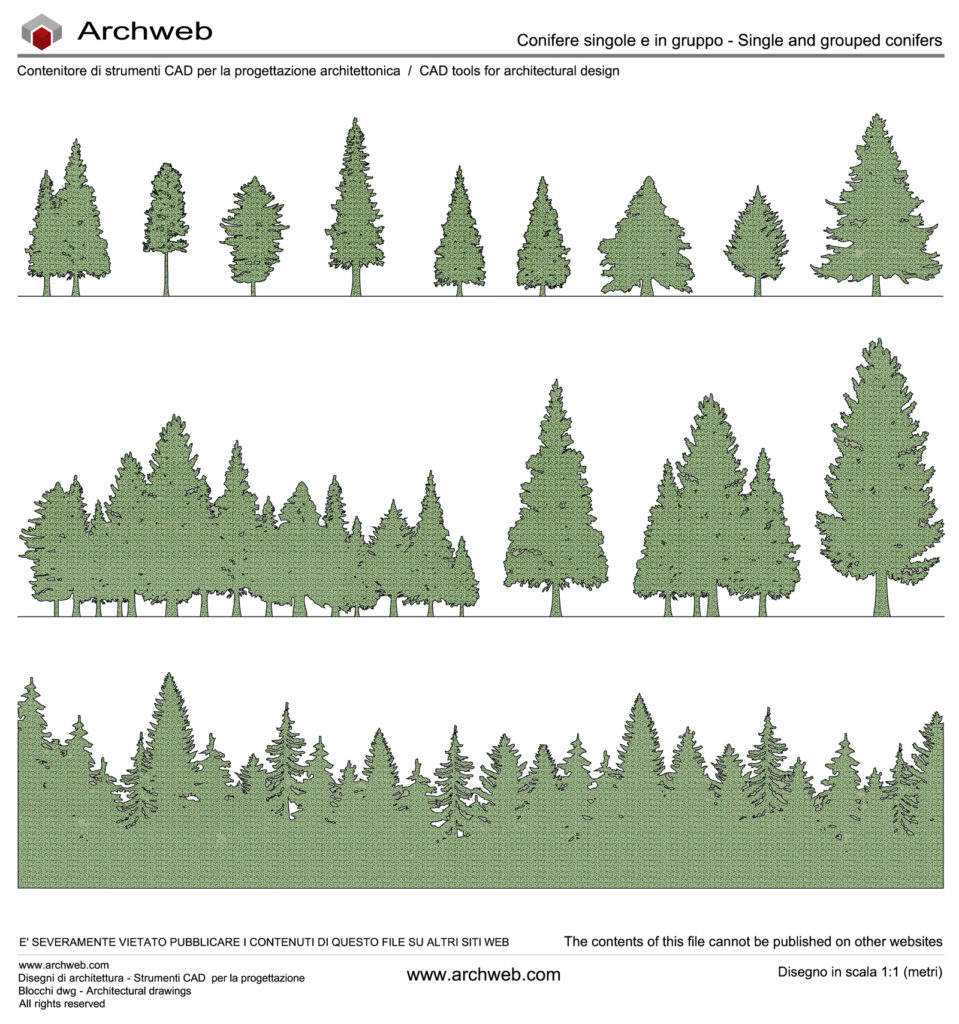 Coniferous single group dwg Archweb