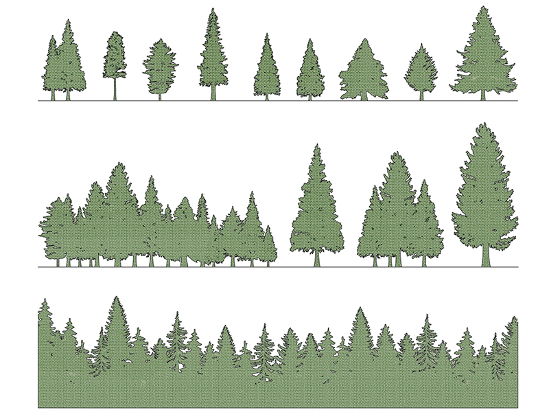 Coniferous single group preview dwg Archweb