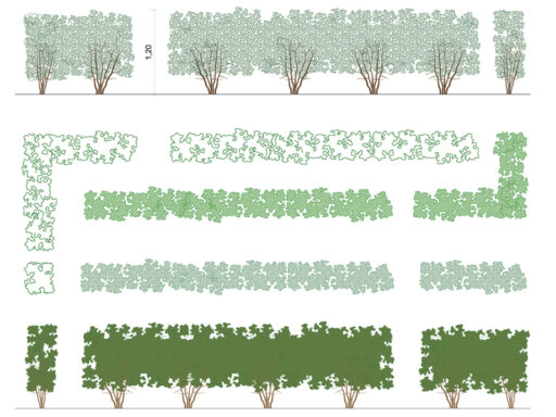 Siepi archweb dwg 01 anteprima Archweb