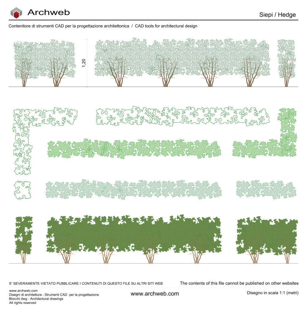 Hedges archweb dwg 01