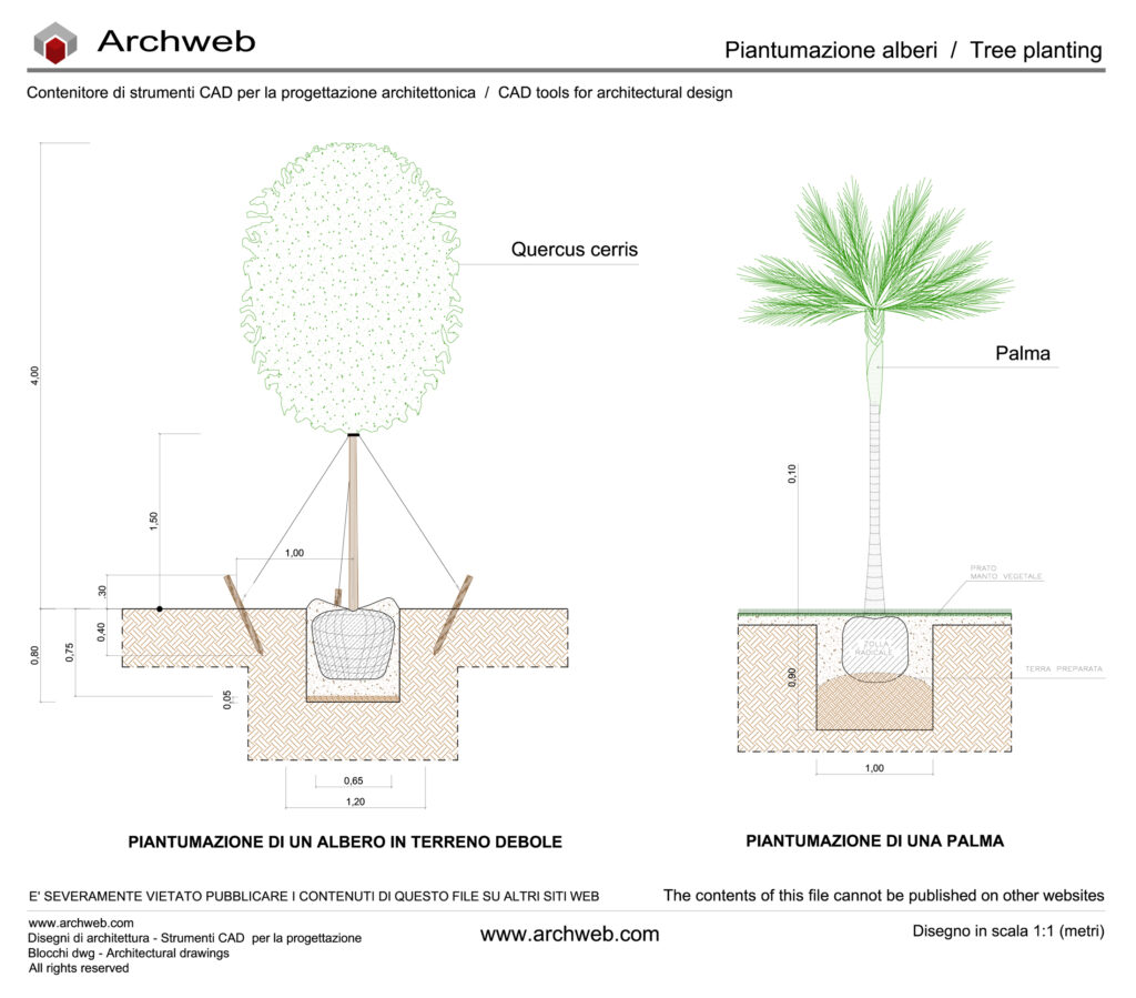 Tree planting 01 dwg Archweb