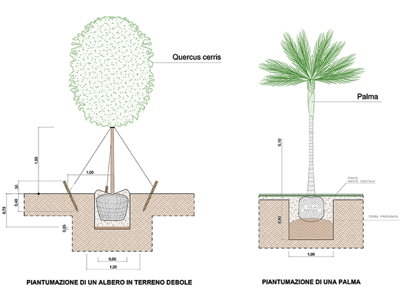 Tree planting 01 preview dwg Archweb